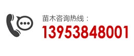 訂苗熱線(xiàn):13953848001